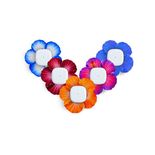 Pansement adhésif/patch de fixation pour Simplera Hibiscus - lot de 5
